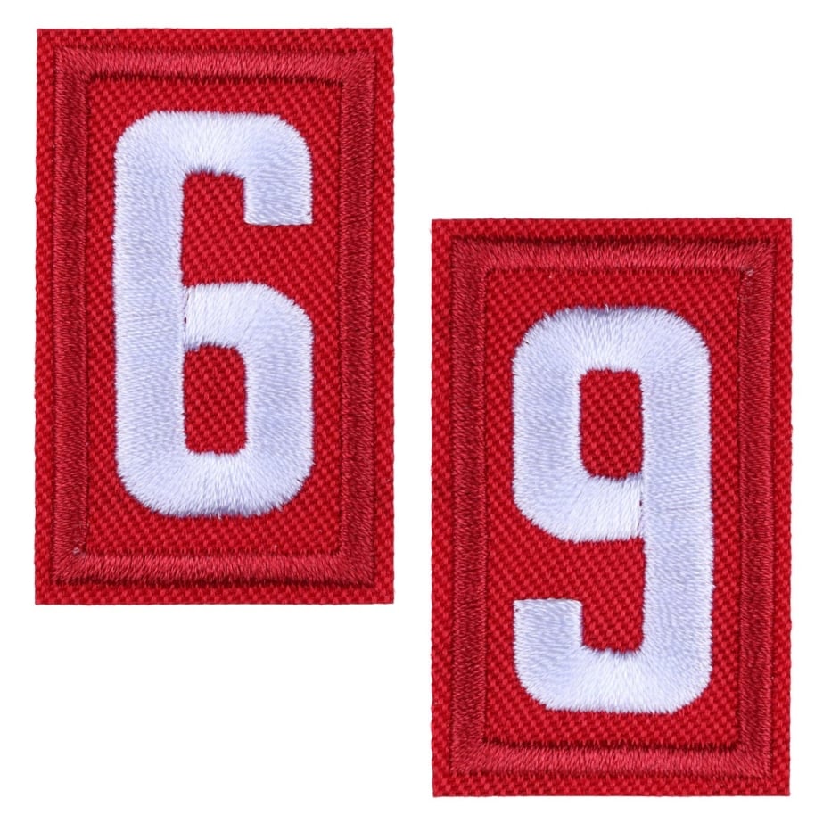 Cub Scout Unit Numeral 6 or 9