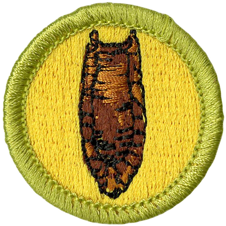 Archeology Merit Badge Emblem for Scouts