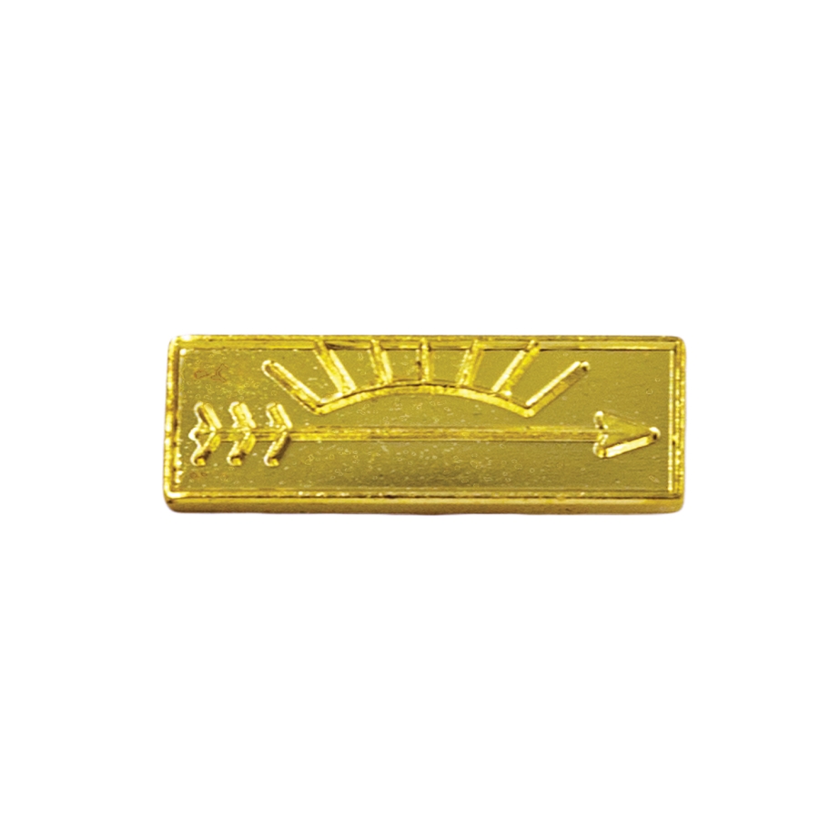 Cub Scout Arrow of Light Rank pin for cub scout parents, gold pin with Arrow of Light logo