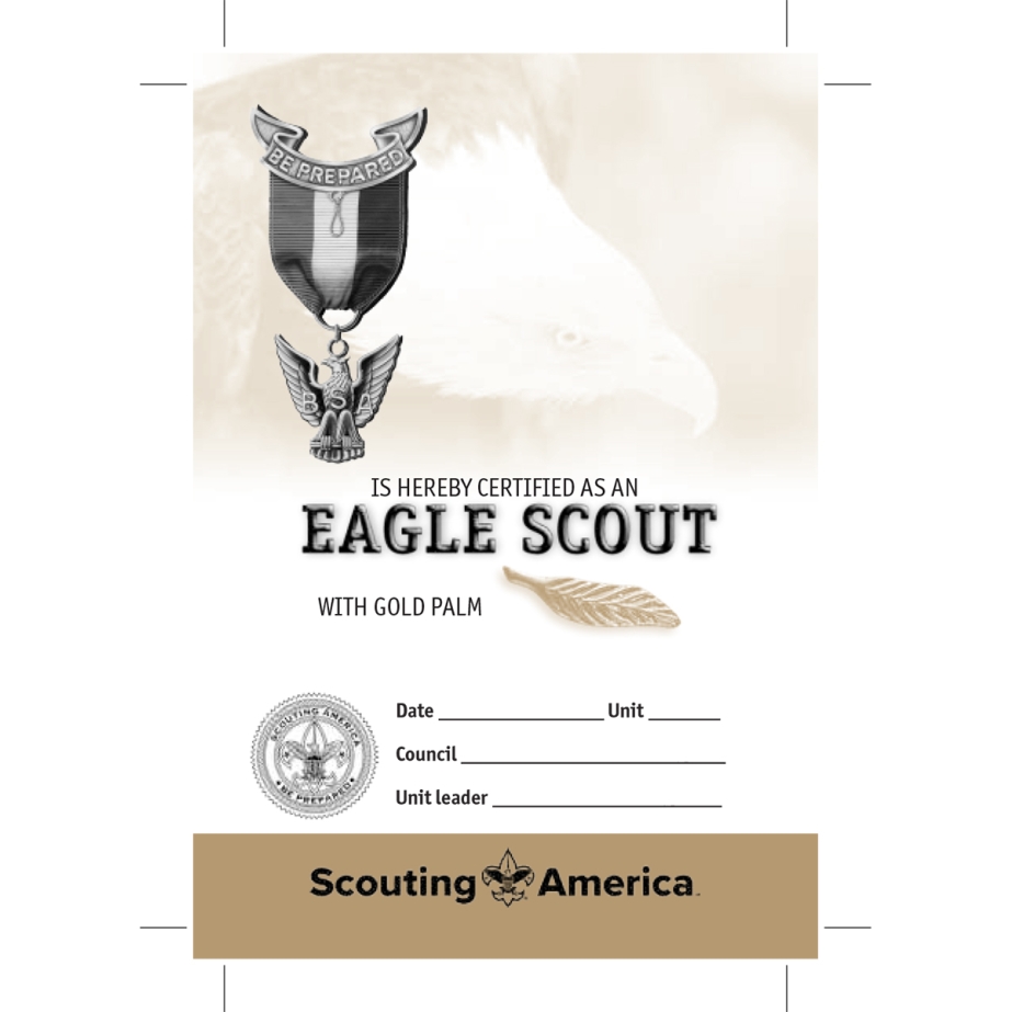 Eagle Scout Gold Palm Pocket Certificate