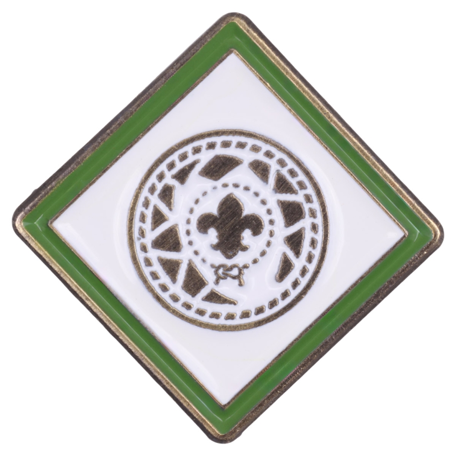 Cub Scout Webelos Elective Adventure Pin, Champions for Nature
