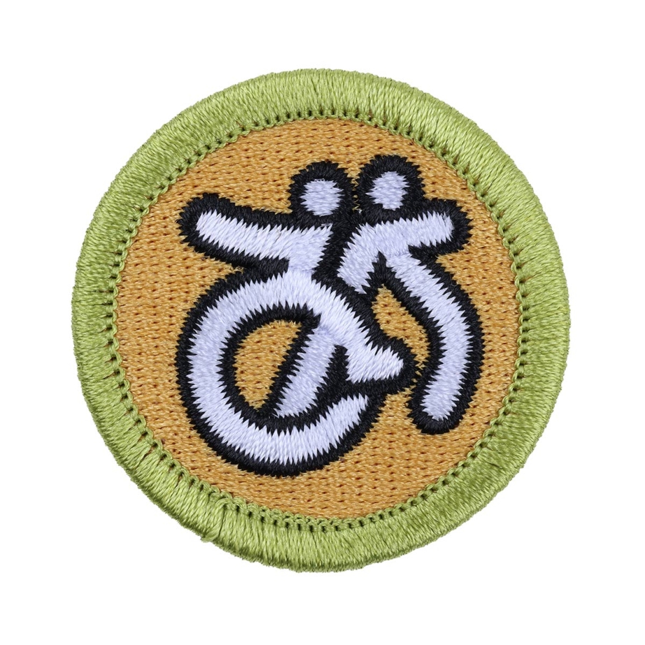 Disability Awareness Merit Badge