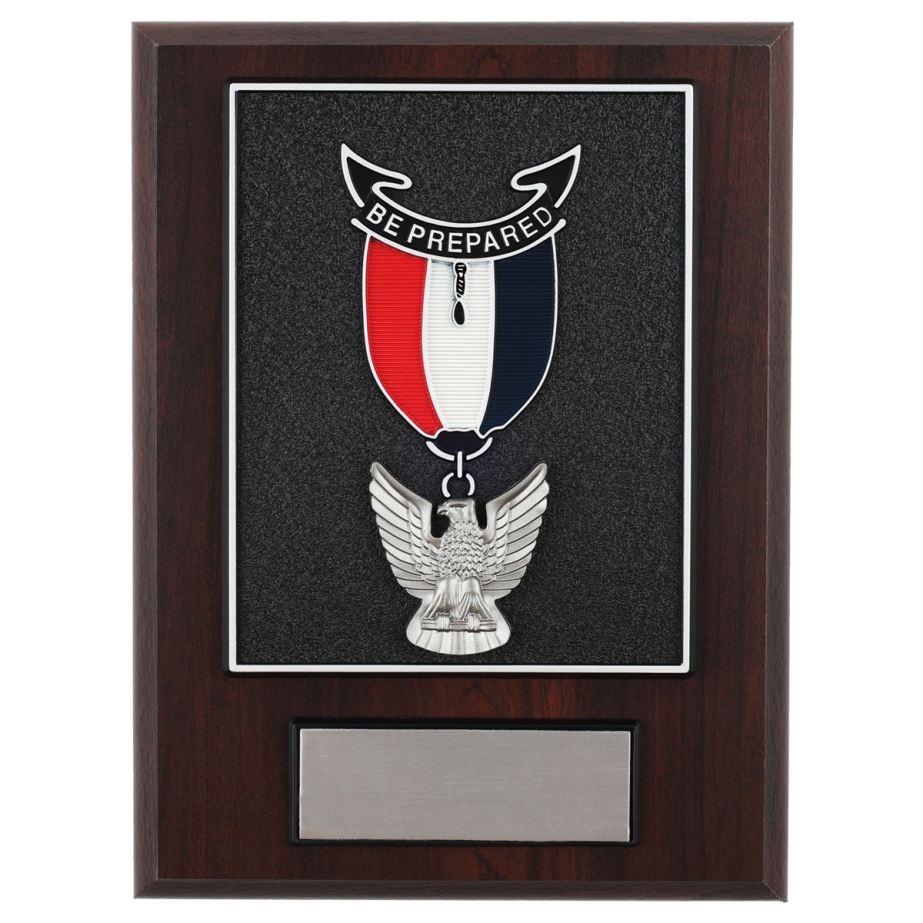 Eagle Scout Medal Plaque