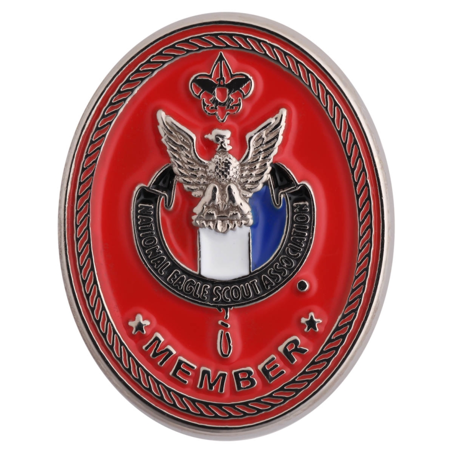 NESA "Member" Pin