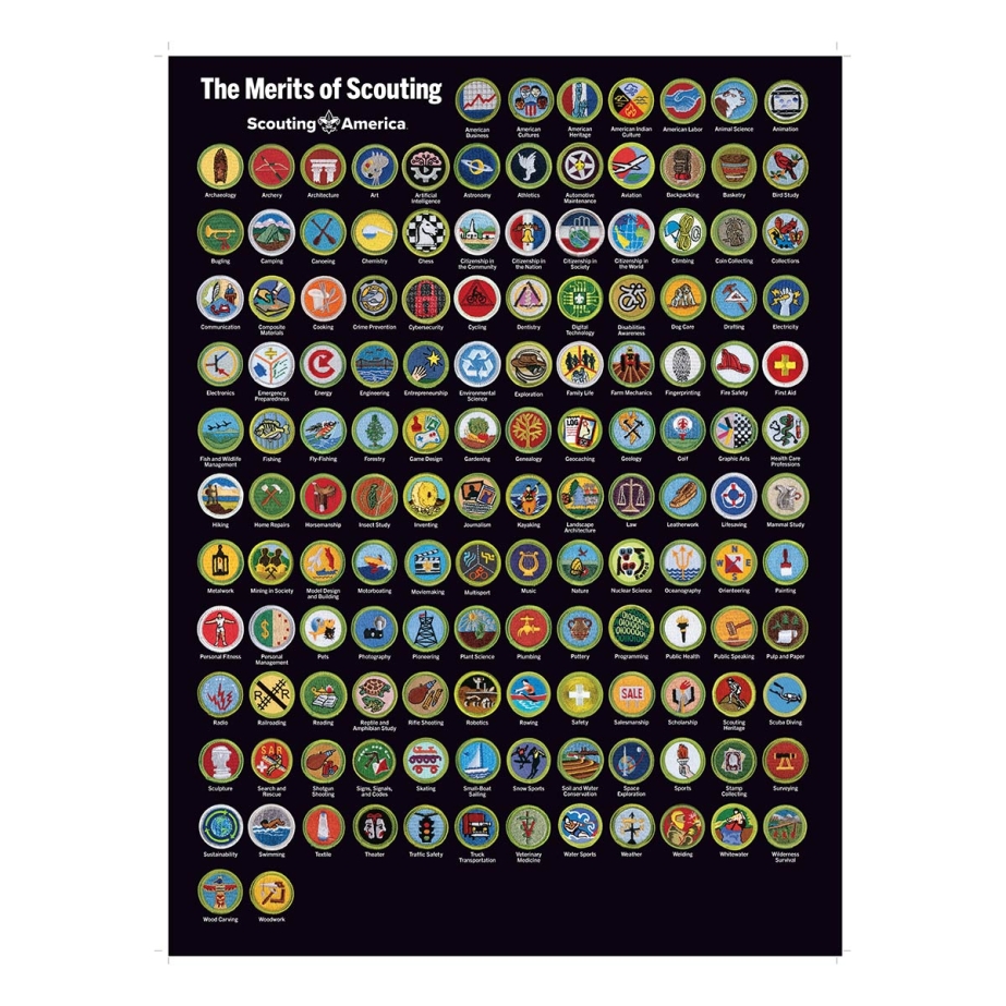 Scouting America Merits of Scouting Poster