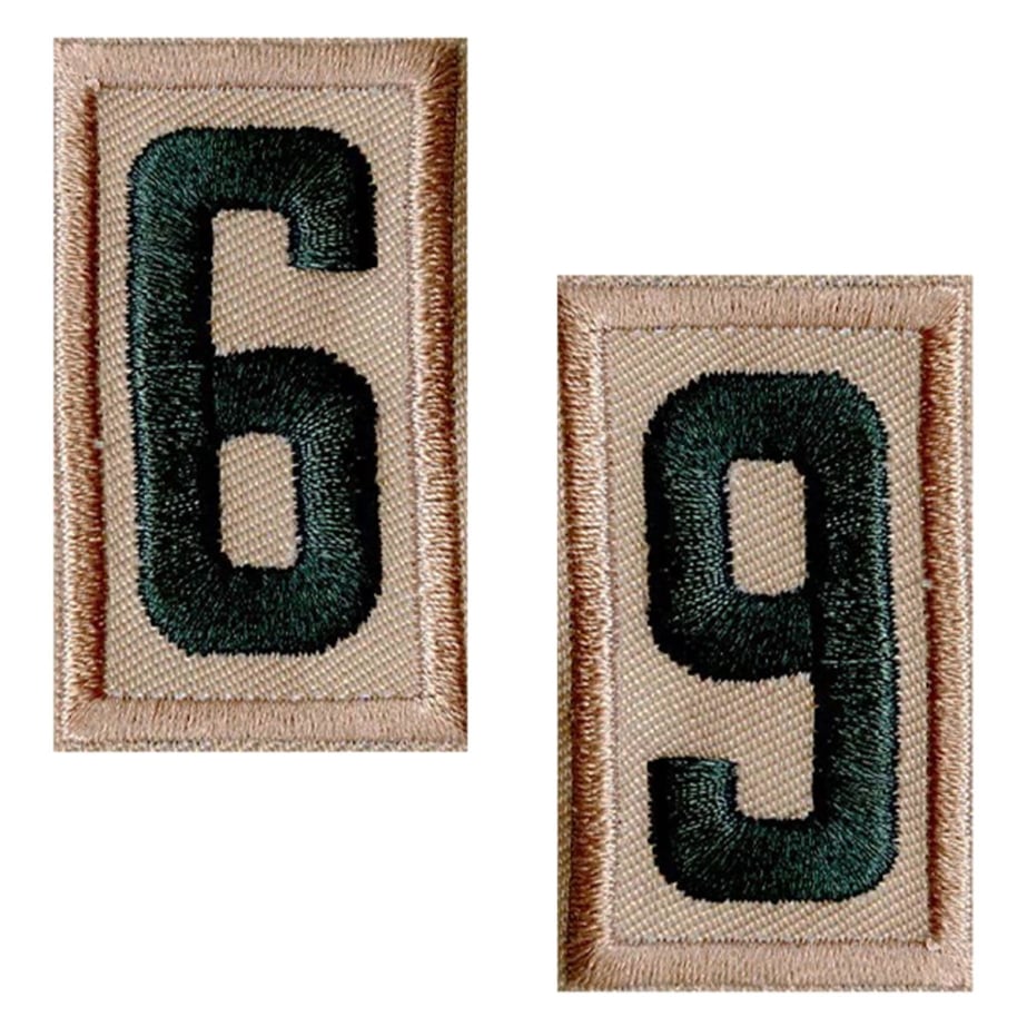 Scouts BSA Unit Numeral 6 or 9