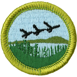 Fish & Wildlife Management Merit Badge Emblem