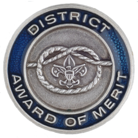 District Award Of Merit Lapel Pin