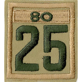 Two-digit Custom Unit Numeral with Veteran Bar