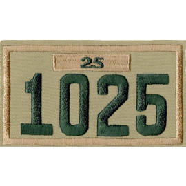 Four-digit Custom Unit Numeral with Veteran Bar