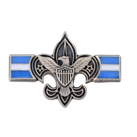 Silver Beaver Pin