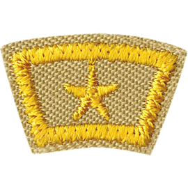 Scouts BSA National Honor patrol Award Emblem