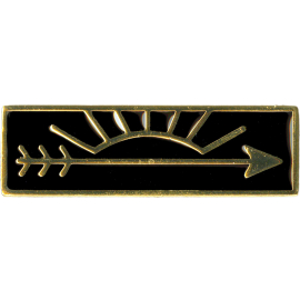 Cub Scout Arrow of Light Award Pin