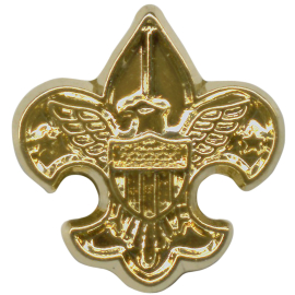 National Outdoor Awards Gold Device Pin