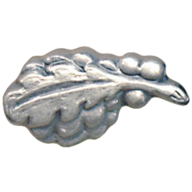 LEE Training Silver Award