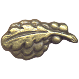 LEE Law Enforcement Training Bronze Pin