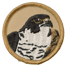 Falcon Patrol Emblem