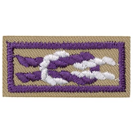 International Scouter Award Knot