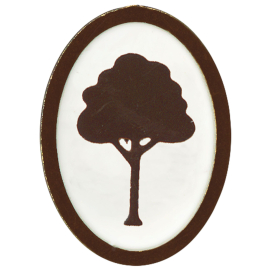 Arrow of Light Elective Pin - Into the Woods