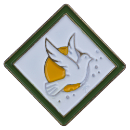 Webelos Adventure Pin - My Family