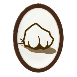 Webelos Elective Pin - Earth Rocks!
