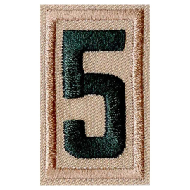 Scouts BSA Unit Numeral 5