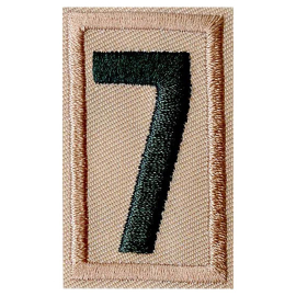 Scouts BSA Unit Numeral 7