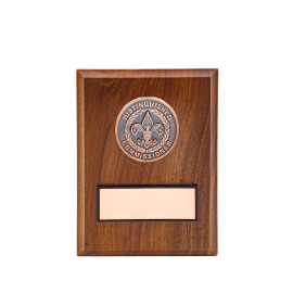 Distinguished Commissioner Plaque, Bronze