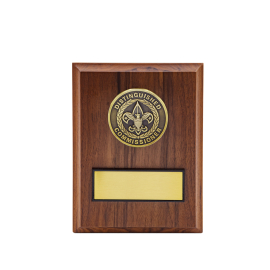Distinguished Commissioner Plaque, Gold
