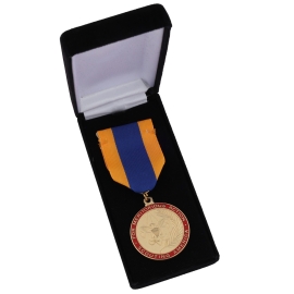 Scouting America Medal of Merit Award