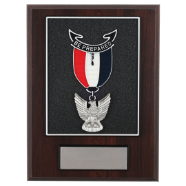Eagle Scout Badge Wall Plaque