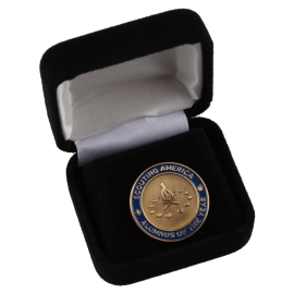 Scouting America Alumnus of the Year Lapel Council Pin