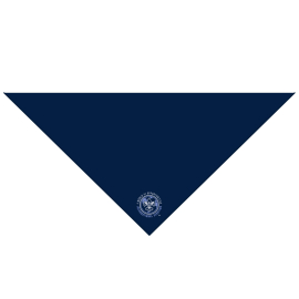 International Scouting Neckerchief