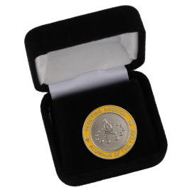 Scouting America Alumnus of the Year Region Award Pin