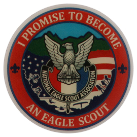 NESA Promise Pin