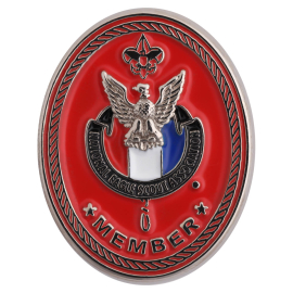NESA "Member" Pin