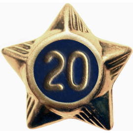 Service Star - 20 Years