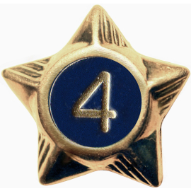 Service Star - 4 Years