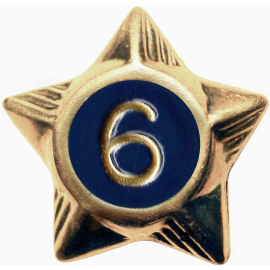 Service Star - 6 Years