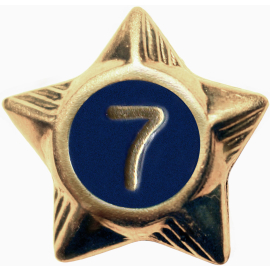 Service Star - 7 Years