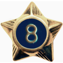 Service Star - 8 Years