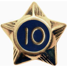 Service Star - 10 Years