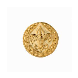 Commissioner Recognition Device Pin