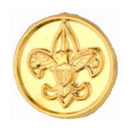 District Committee Device Pin