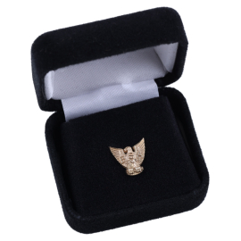 Distinguished Eagle Scout Device, 10K
