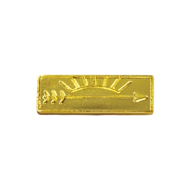 Cub Scout Arrow of Light Rank pin for cub scout parents, gold pin with Arrow of Light logo