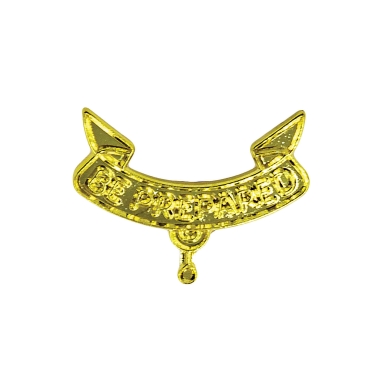 Scouts BSA Second Class Rank Parent Pin