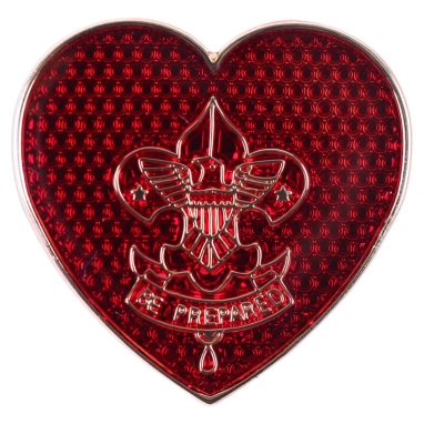 Life Scout Rank Parent's Pin