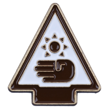Cub Scout Arrow of Light Elective Adventure Pin - Estimations