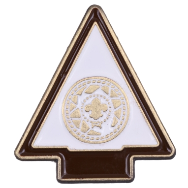 Cub Scout Arrow of Light Elective Adventure Pin - Champions for Nature - Arrow of Light